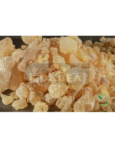 Dammar indien 50 grs.