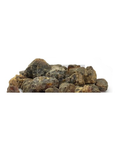 Black Dammar 50 grs.