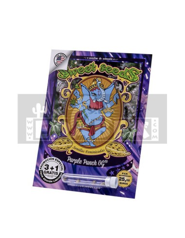 Purple Punch OG