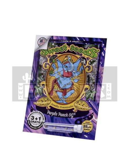 Purple Punch OG Purple Punch OG