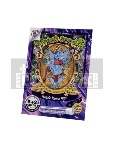 Purple Punch OG