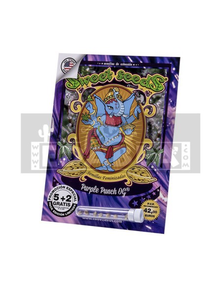 Purple Punch OG Purple Punch OG