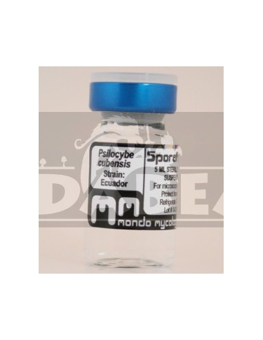 Flacon de spores Équateur 10 ml.
