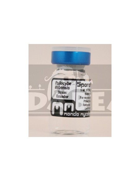 Flacon de spores Équateur 10 ml.