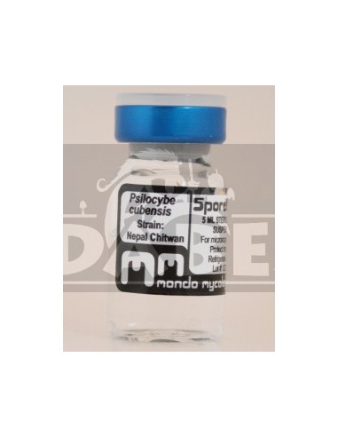 Népal Chitwan flacon de spores 10 ml.