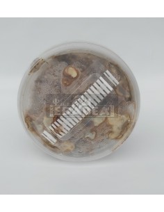 Kit Magic Truffle Tampanensis 2
