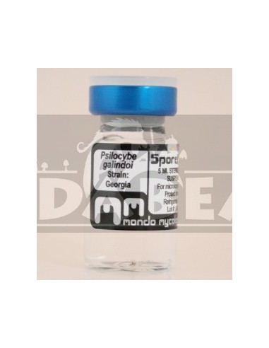 Vial de esporas Galindoi 10 ml
