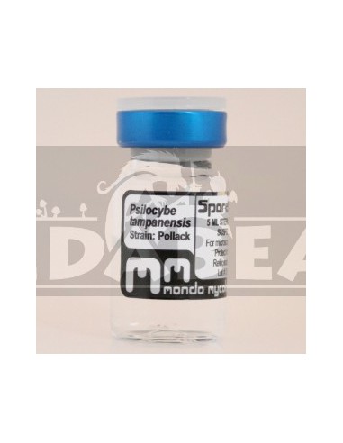 Fiala di spore di Tampanenis 10 ml.