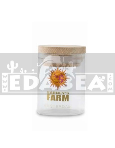 Vaso di vetro