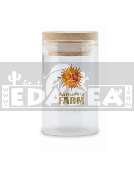 Vaso di vetro