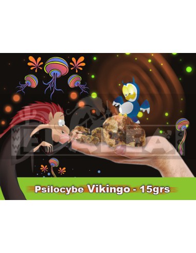 Psilocybe Viking Truffles – 15g | The Most Powerful Magic Truffle