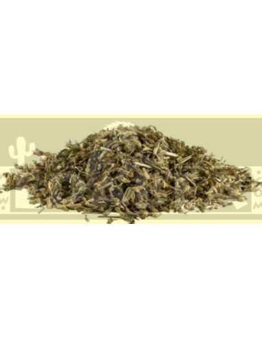 Nepeta Cataria 25 gr.