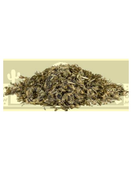 Nepeta Cataria 25 grs.
