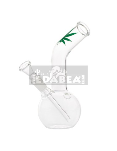 Buy 16 cm Glass Bong Kit with Accessories | Edabea