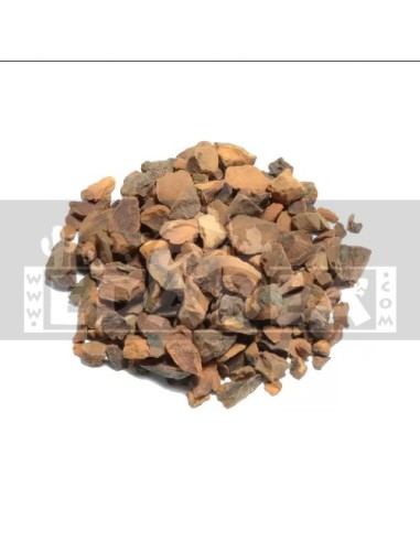 Colanut (Kola nitida) 50 g Pulver kaufen | Edabea