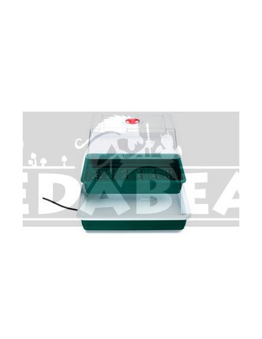 Mushroom cultivation pack
