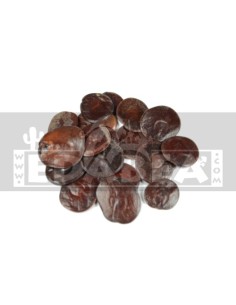 Anadenanthera Peregrina ‘’Yopo’’ (10 gramas) | Edabea