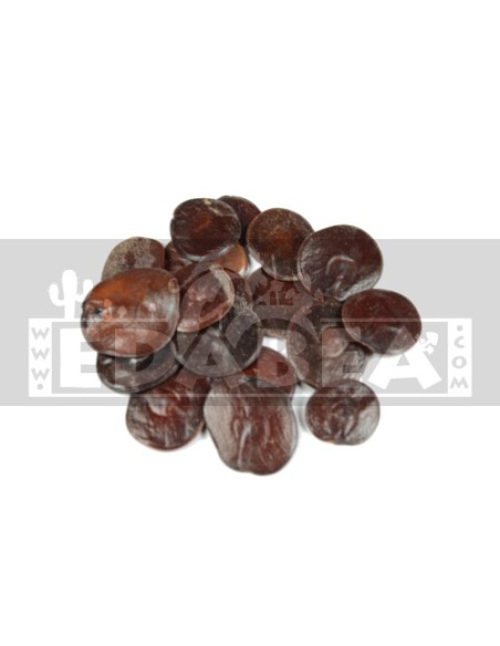 Anadenanthera Peregrina ‘’Yopo’’ (10 gramas) | Edabea