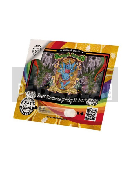 Süße Mandarine Zkittlez XL Auto | Edabea
