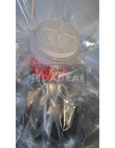 Kulturtaschen 6 Liter | Edabea