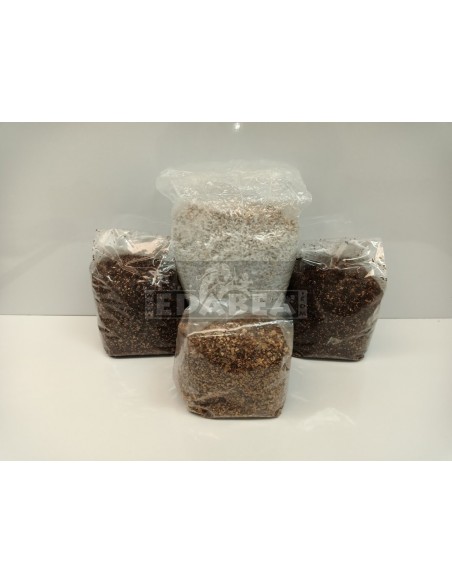 Mycélium Professionnel B+ | Edabea Mycélium Professionnel B+ | Edabea