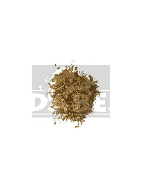 Johanniskraut (Hypericum perforatum) 80 grs.