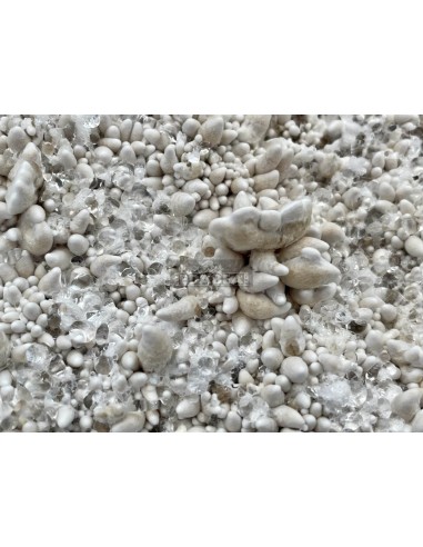 Kit de cultivo de cogumelos psilocybe cubensis Enigma