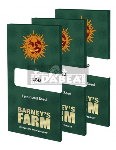Barneys Farm LSD | Edabea SL