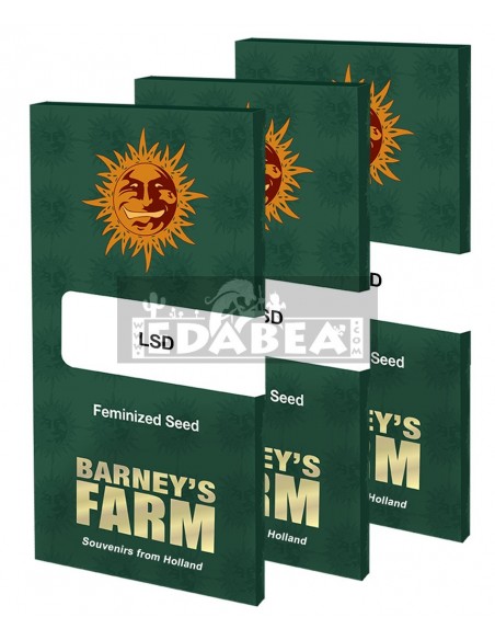 Barneys Farm LSD | Edabea SL