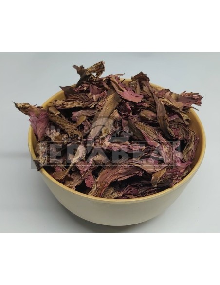 Comprare Loto rosso Nymphaea rubra 20g | Edabea