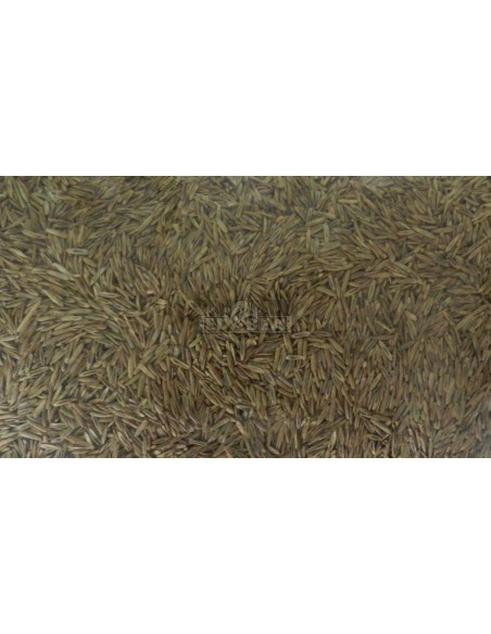 Grassamen 1 Liter