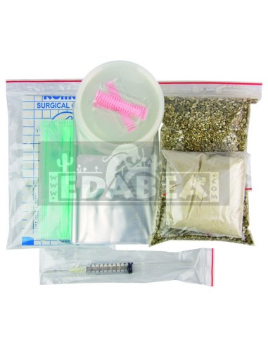 PF-Tek-Starterkit