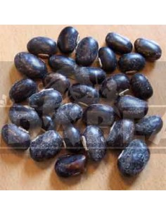 Feijão Mucuna pruriens 50 gramas