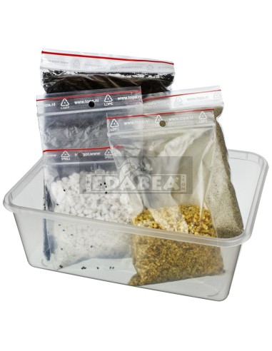 Kit per la coltivazione del peyote