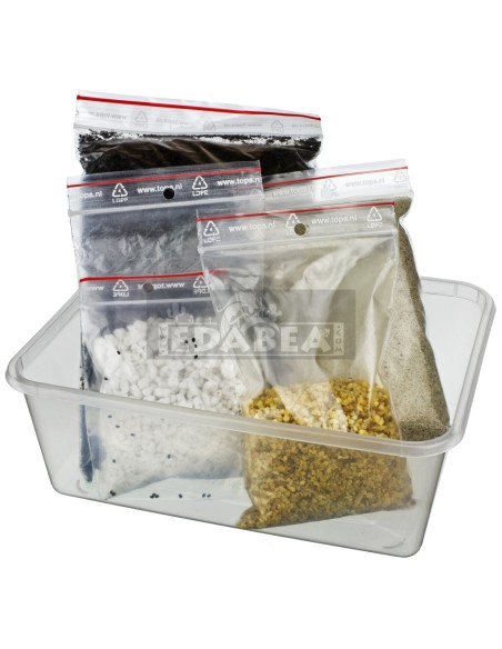 Kit de culture du peyotl