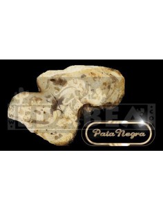 Trufas Pata Negra 4x3