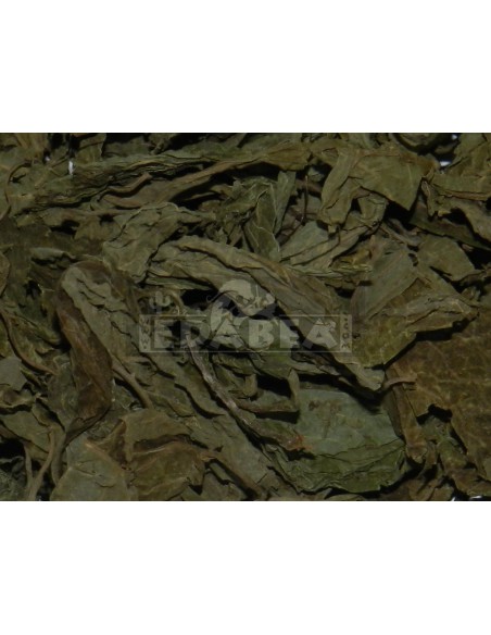 Salbei getrocknete Blätter 10 g