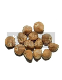 Hawaiian baby woodrose 13 seeds