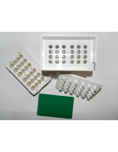 Máquina de encapsular 500 mg
