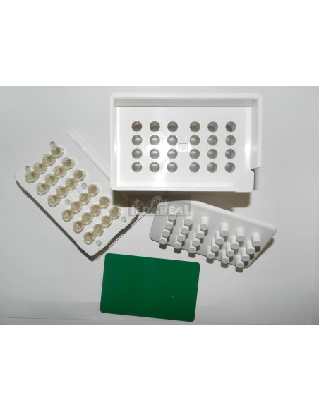 Macchina per l'incapsulamento 500 mg