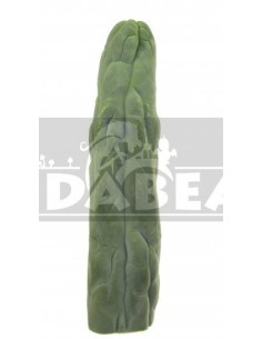 Trichocereus bridgesii Monstruoso 2