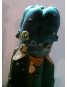 Peyote injertado en San Pedro 2