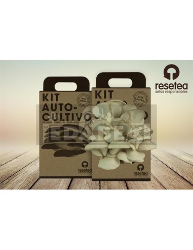 Oyster mushroom cultivation kit