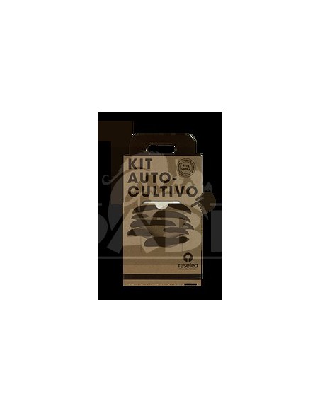 Kit per la coltivazione di funghi ostrica