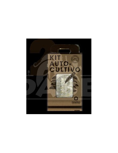 Oyster mushroom cultivation kit