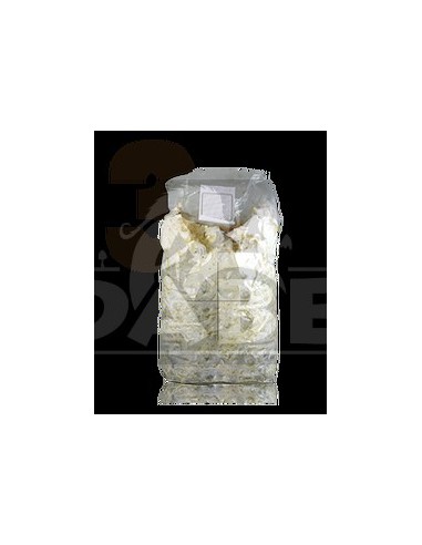 Kit per la coltivazione di funghi ostrica