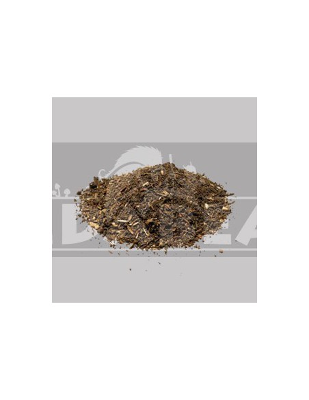 Artemisa Absintoun 10X