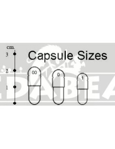 Cápsulas de 650 mg 100 unidades 2