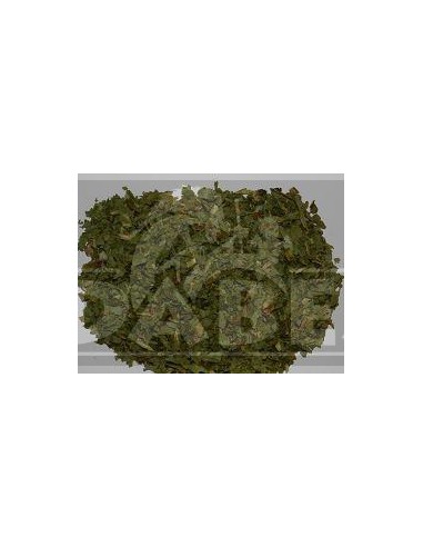 Wild lettuce 100 grs.
