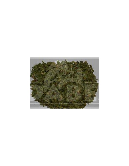 Wilder Salat 100 grs.